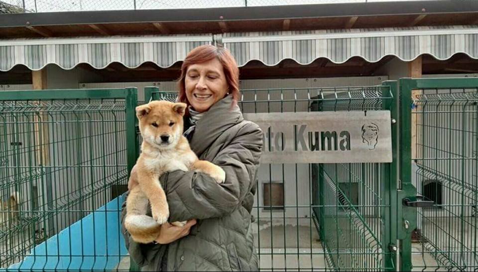 Allevamento-vendita-cuccioli-shibainu-shiba-sciba-Italia