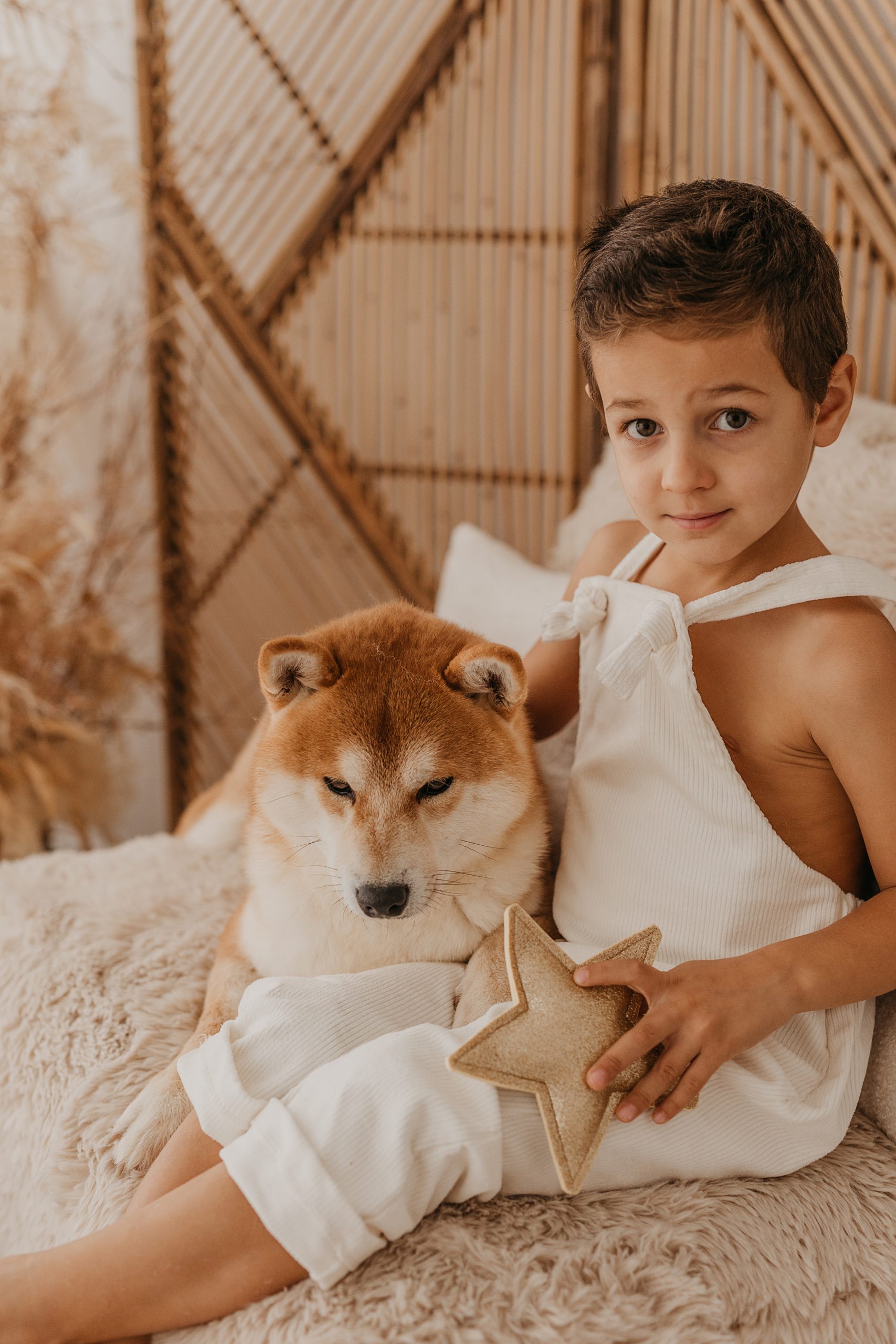 cani di razza Shiba Inu di Allevamento Kuma - Lusiana Conco (VI) Italia