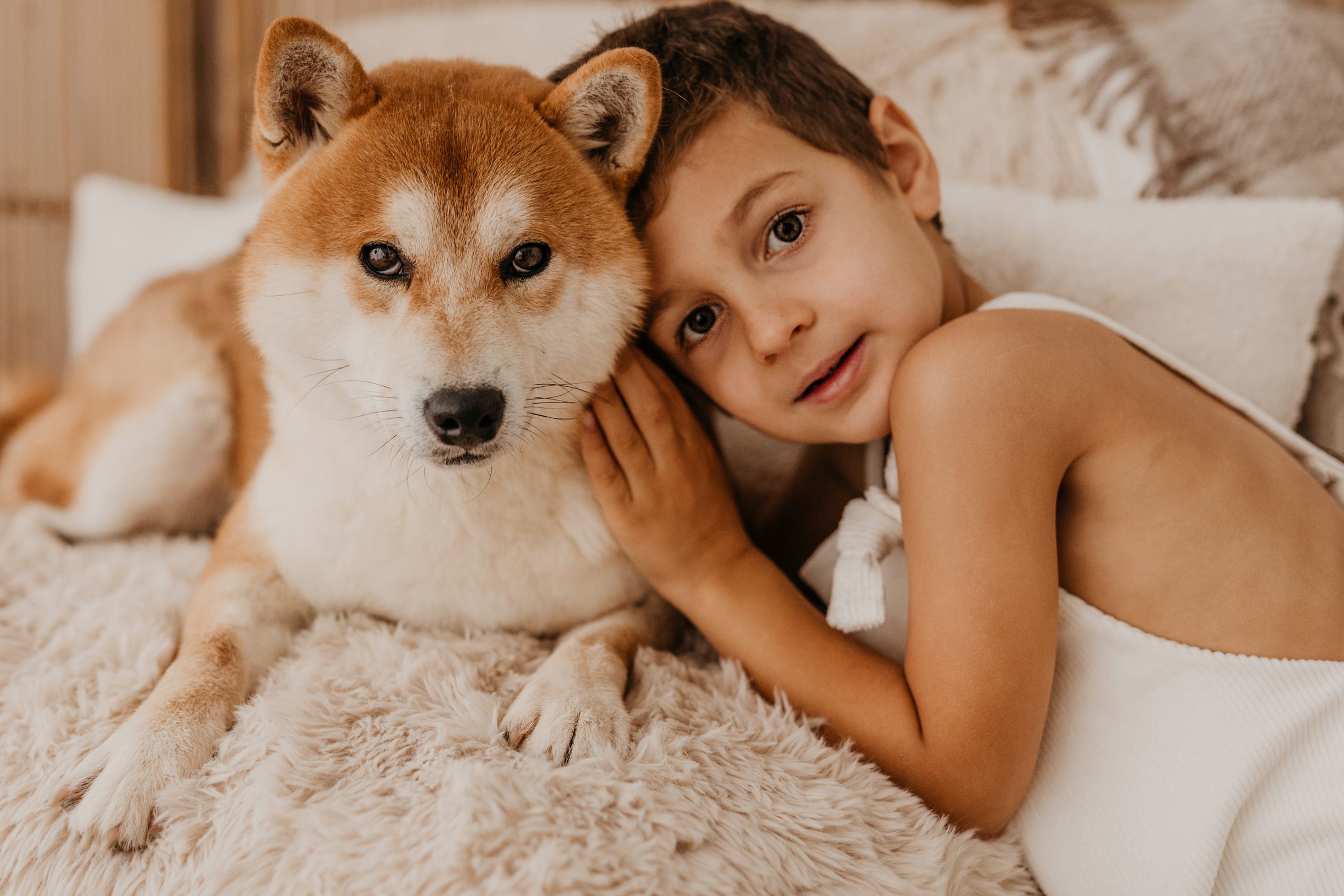 cani di razza Shiba Inu di Allevamento Kuma - Lusiana Conco (VI) Italia