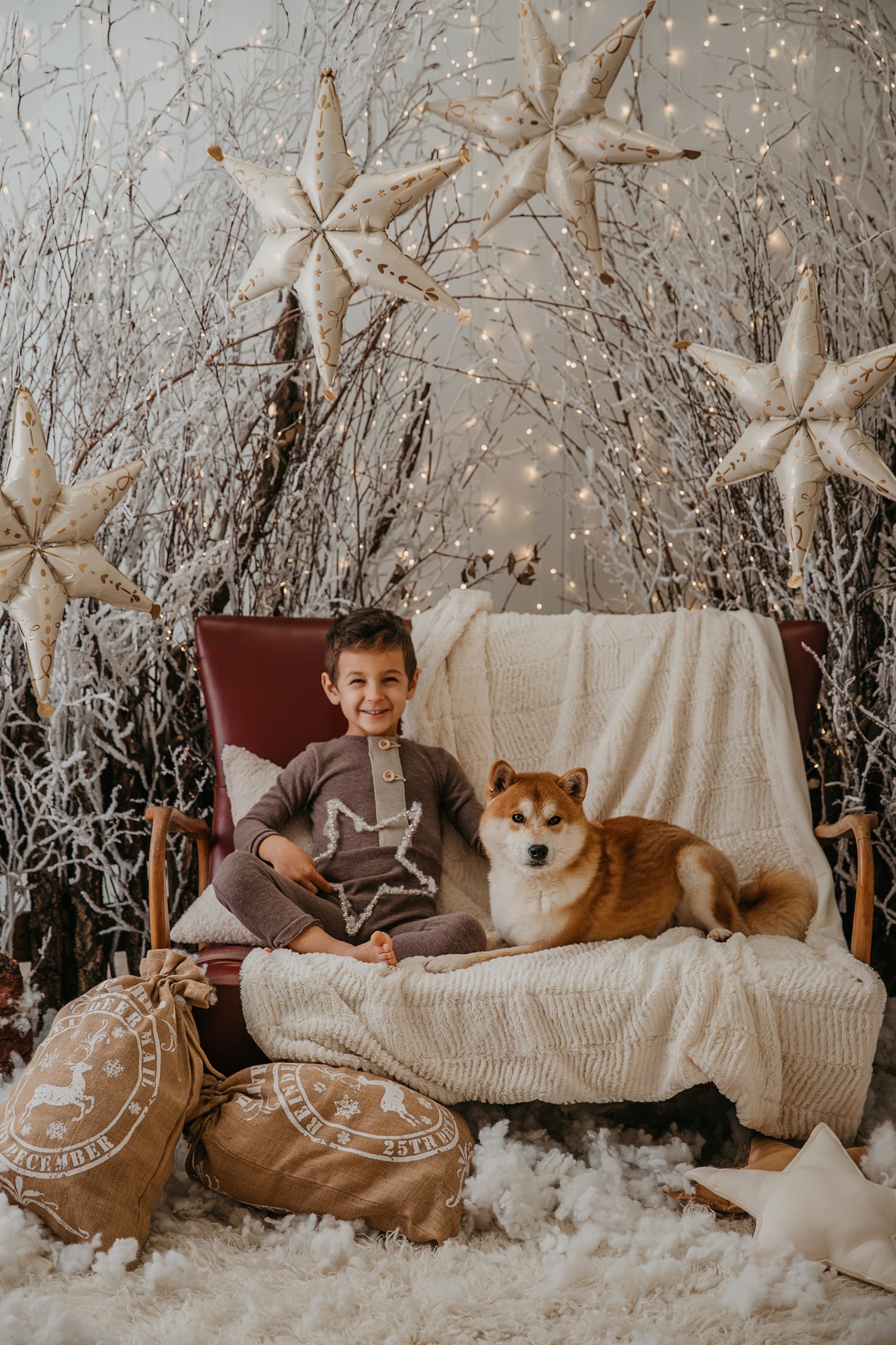 cani di razza Shiba Inu di Allevamento Kuma - Lusiana Conco (VI) Italia