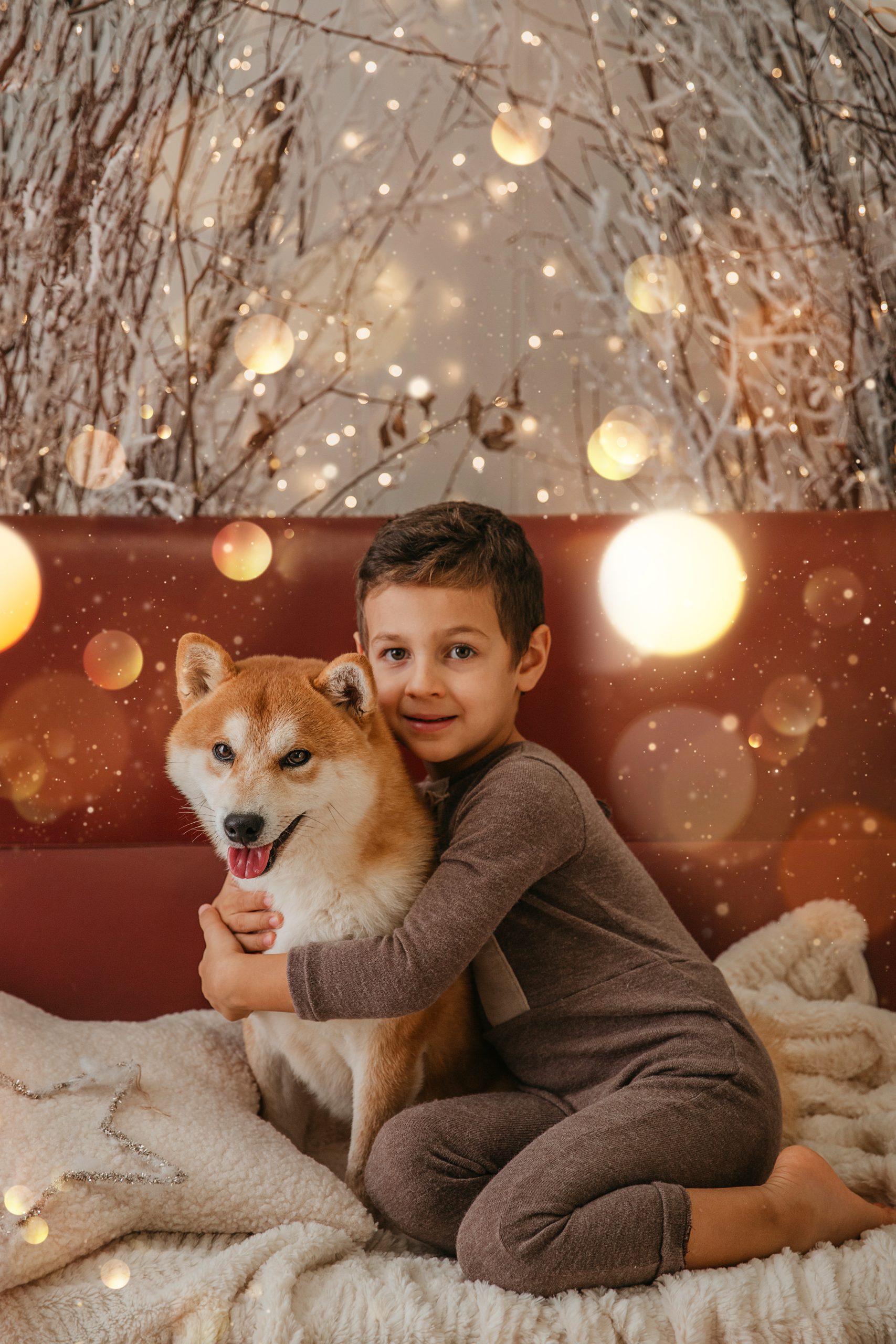 cani di razza Shiba Inu di Allevamento Kuma - Lusiana Conco (VI) Italia